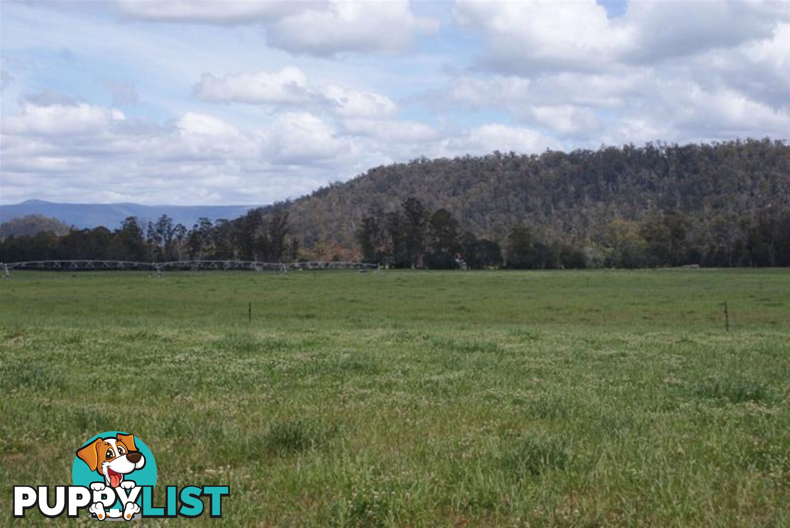 14439 Highland Lakes Road Deloraine TAS 7304