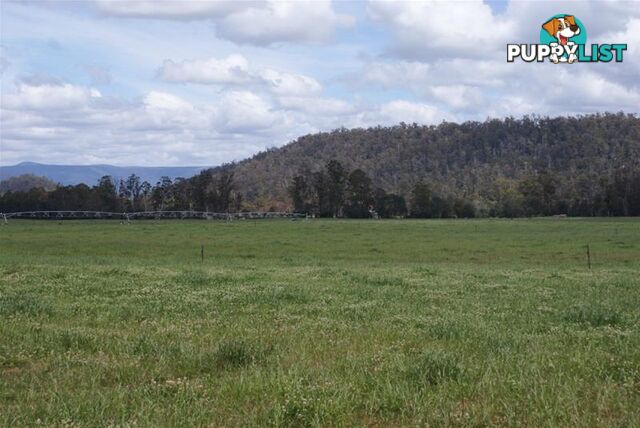 14439 Highland Lakes Road Deloraine TAS 7304