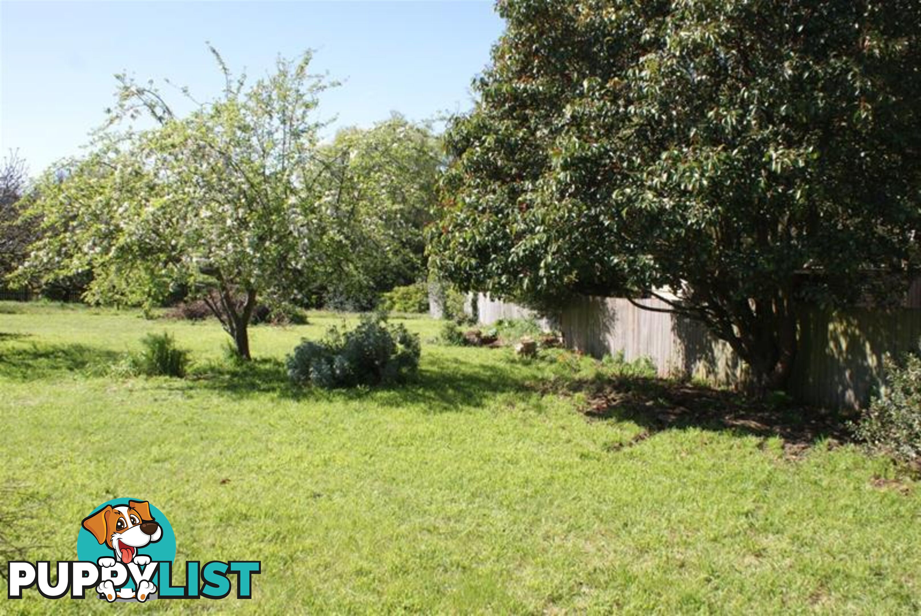 10 Grigg Street Deloraine TAS 7304