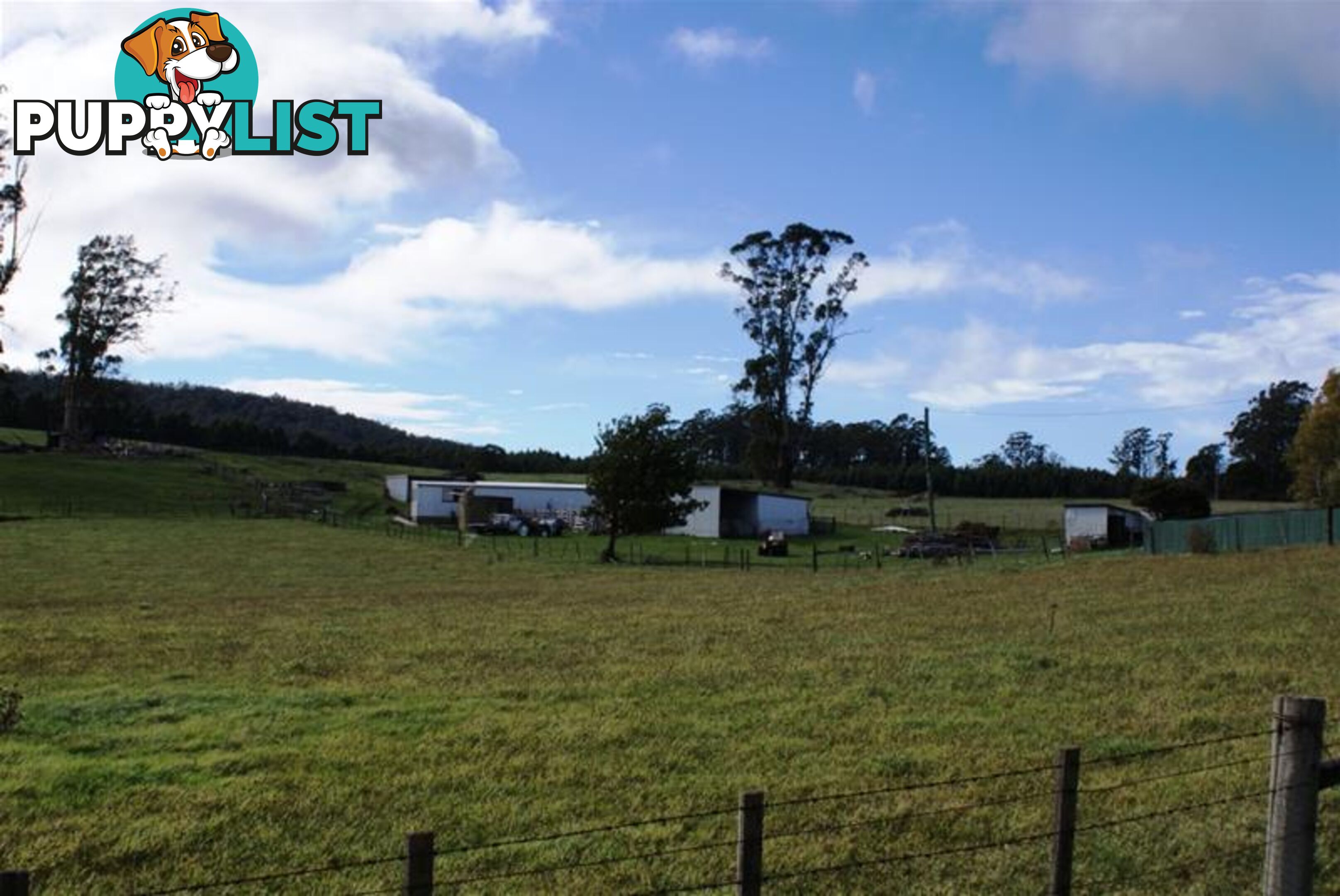 5284 Bass Highway Deloraine TAS 7304