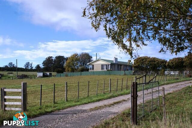 5284 Bass Highway Deloraine TAS 7304