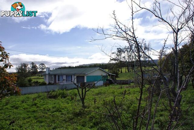 5284 Bass Highway Deloraine TAS 7304