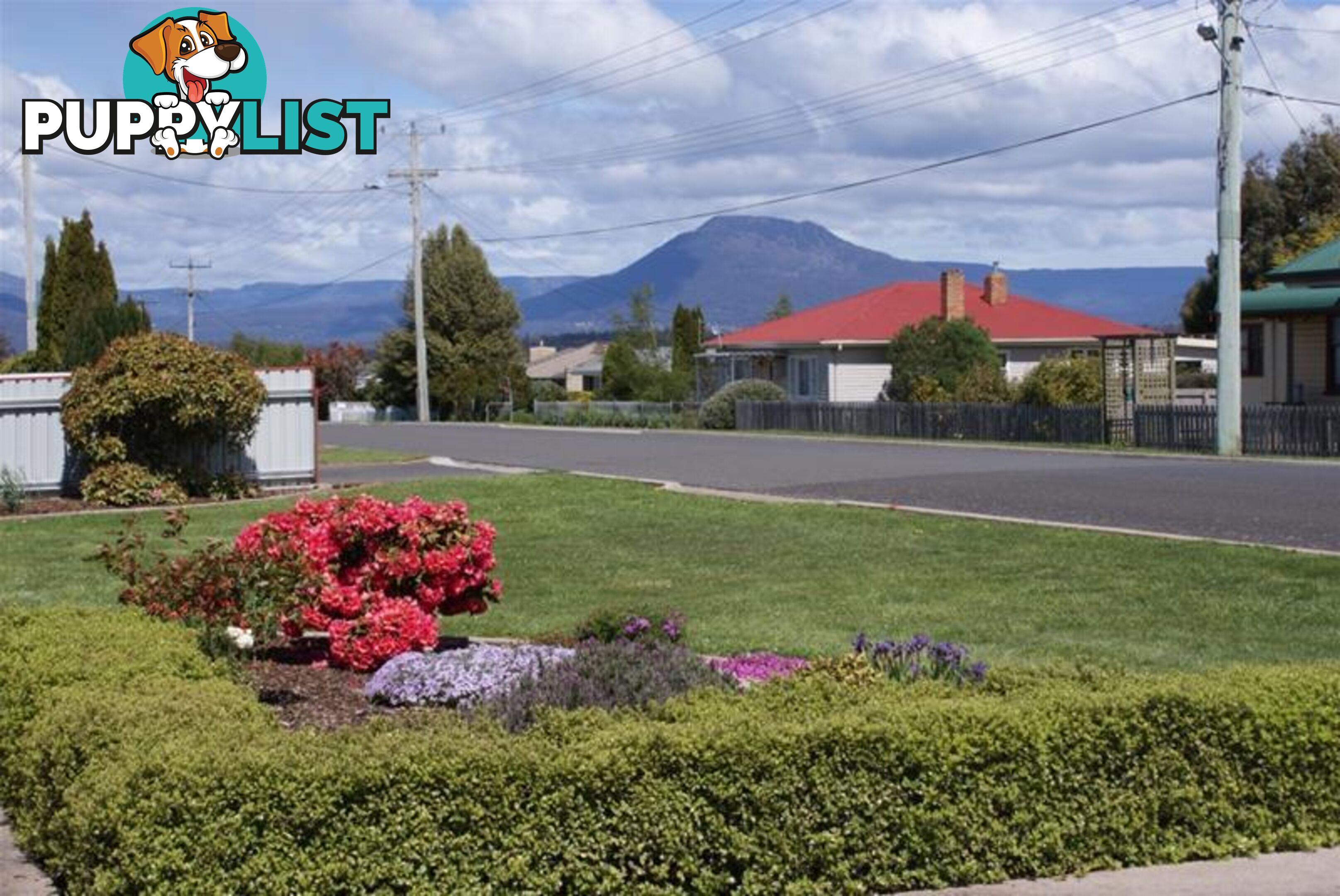 79-81 Westbury Place Deloraine TAS 7304