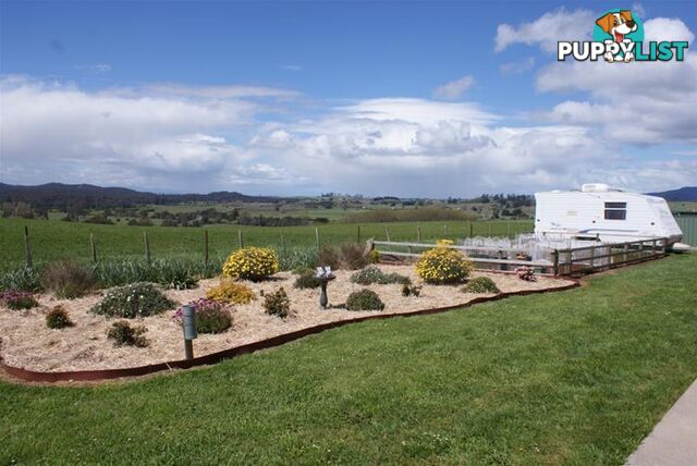 79-81 Westbury Place Deloraine TAS 7304