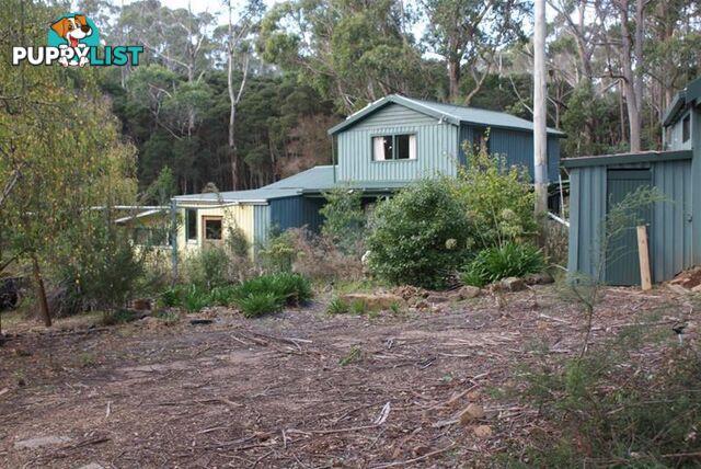 Lot 1 164 Samuel Street Elizabeth Town TAS 7304