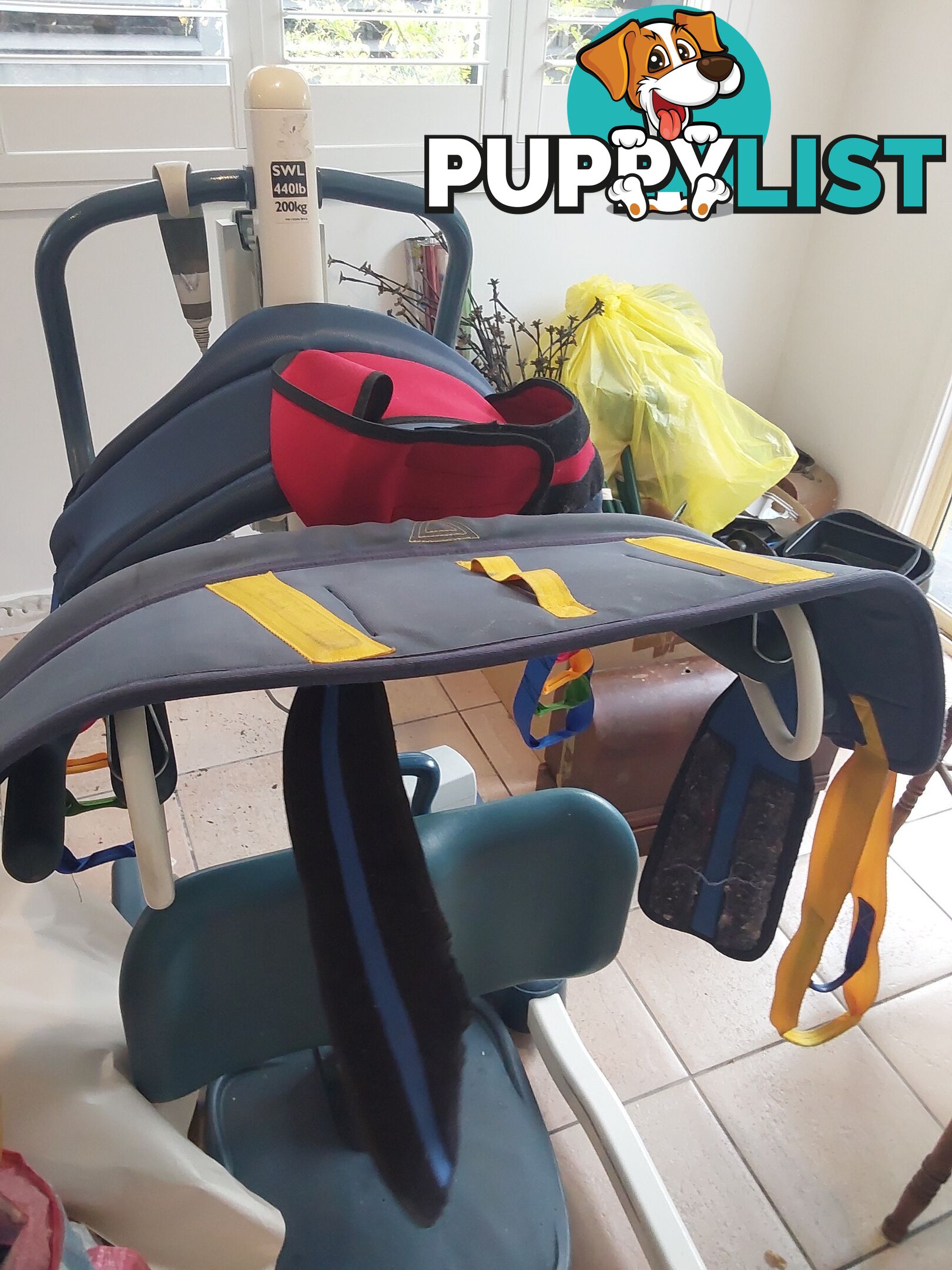 Sit to stand lifter