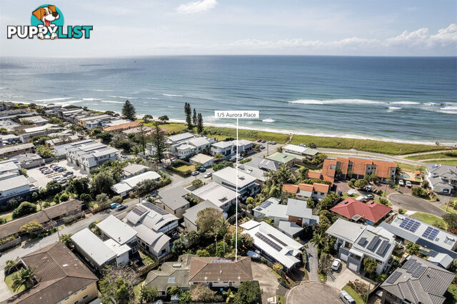 1/5 Aurora Place LENNOX HEAD NSW 2478