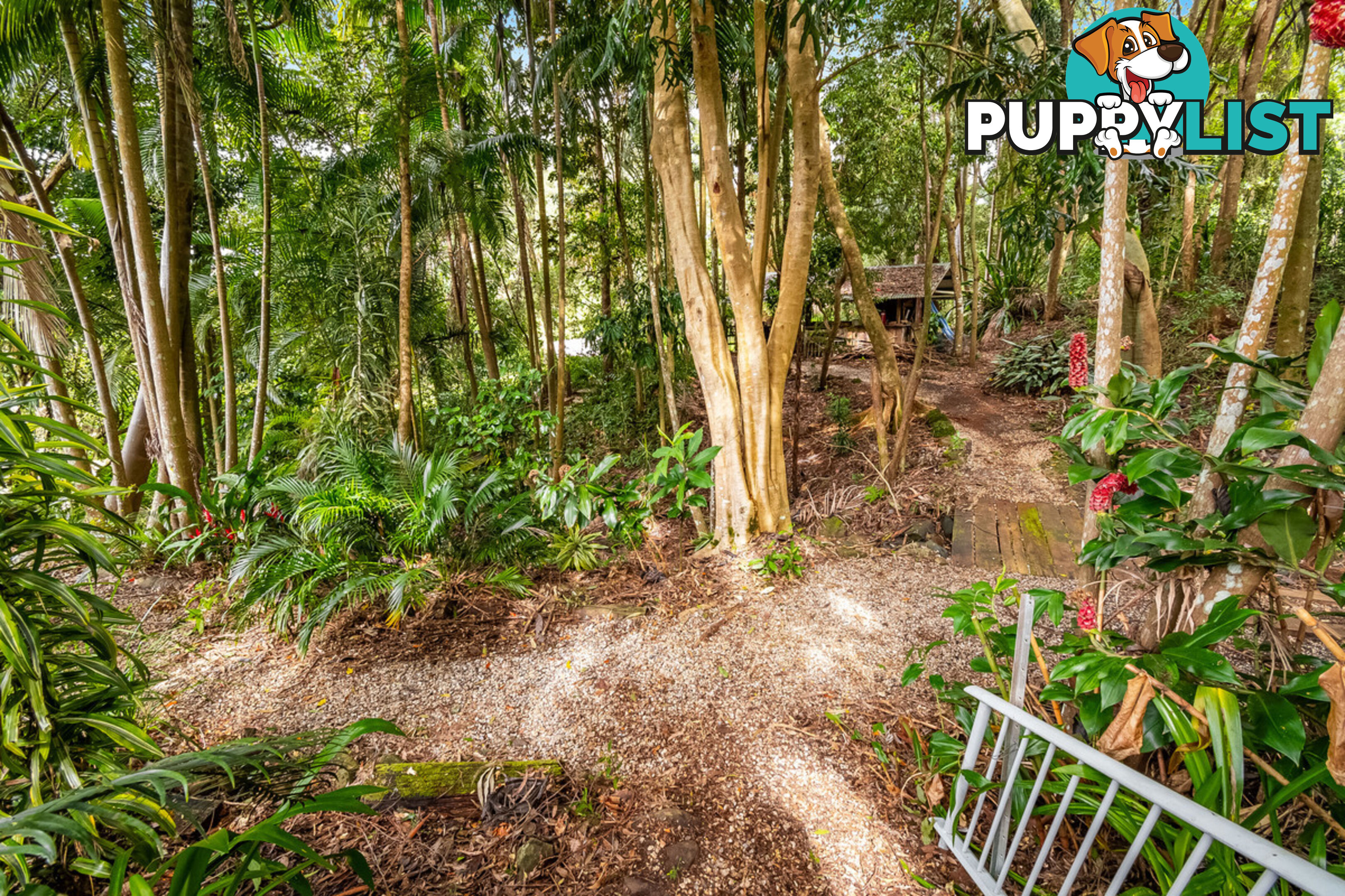 18 Hillcrest Drive TINTENBAR NSW 2478