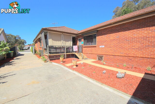 20 Ely Street REVESBY NSW 2212