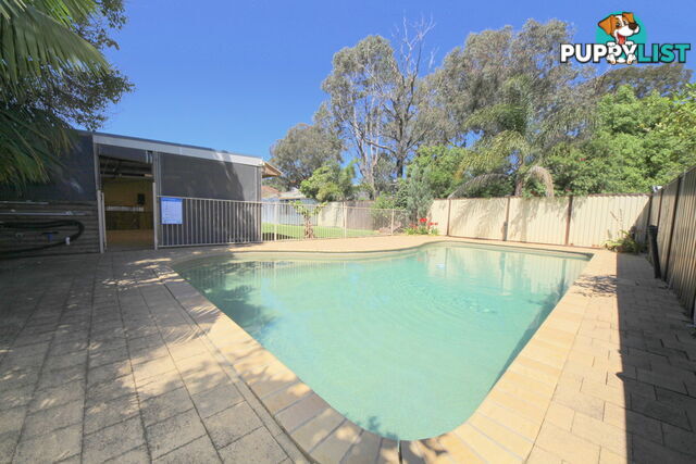 20 Ely Street REVESBY NSW 2212