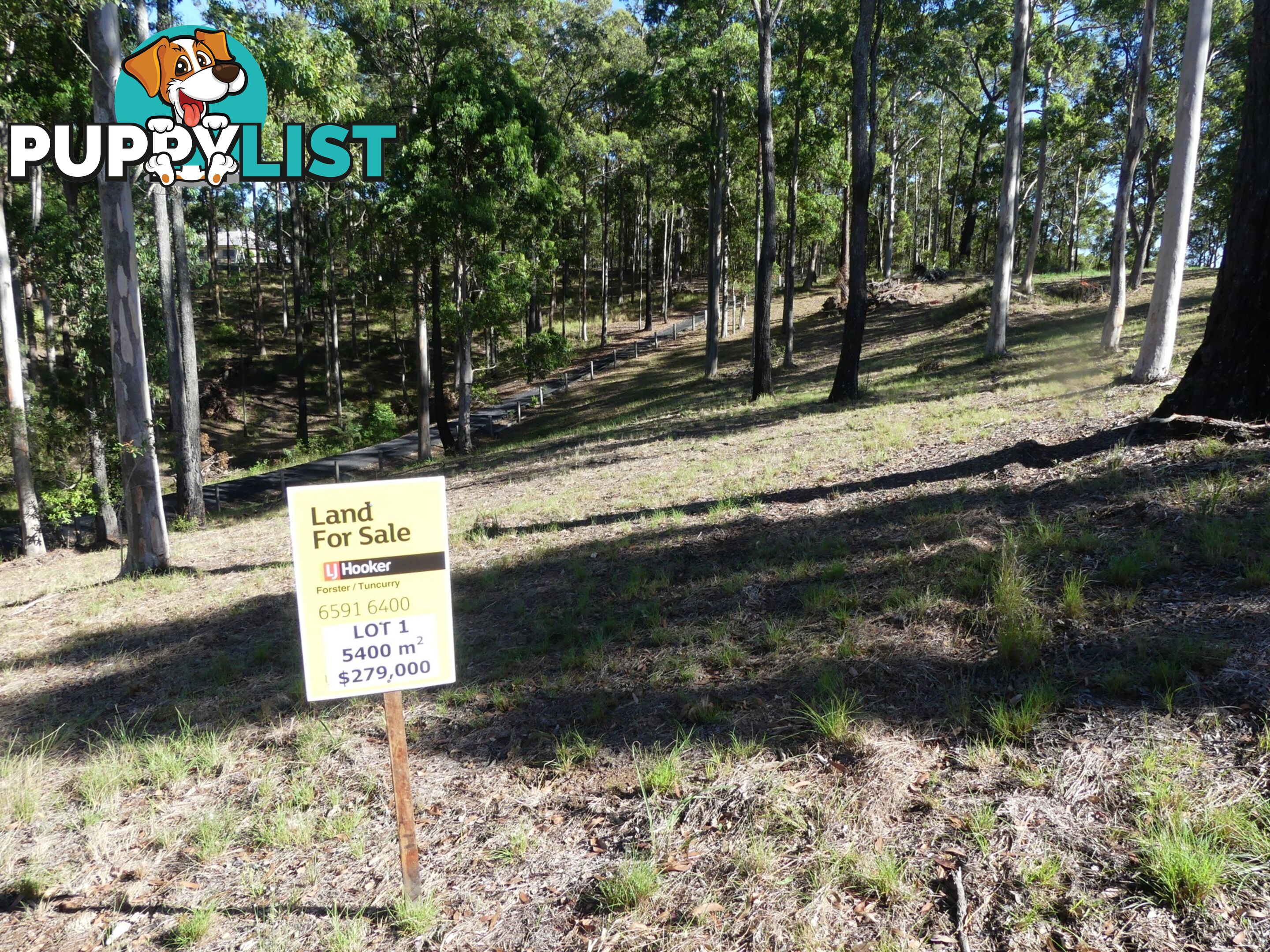 Lot 1/131 Tallwood Drive TALLWOODS VILLAGE NSW 2430