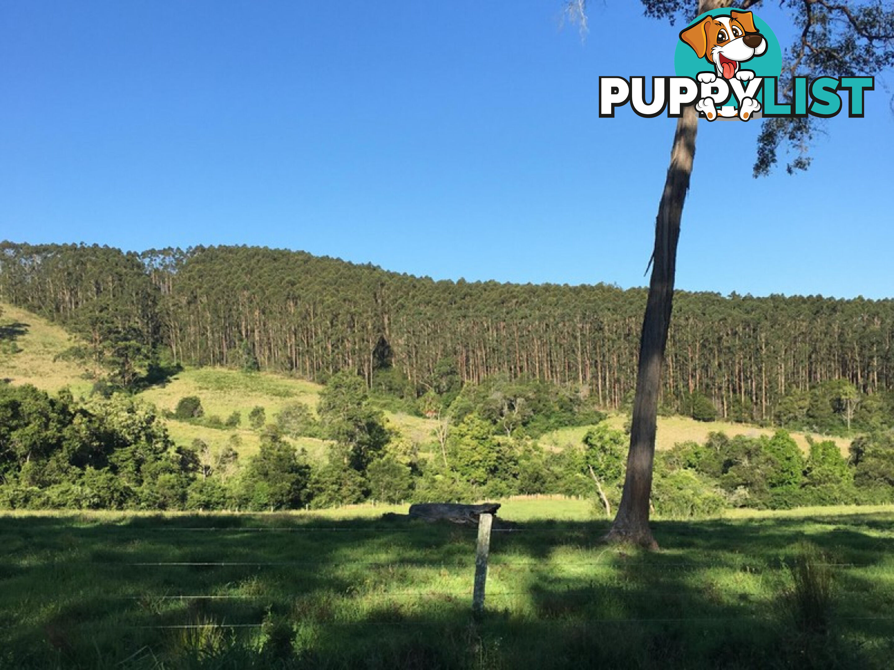 Lot 4 Elmar Road WOOTTON NSW 2423