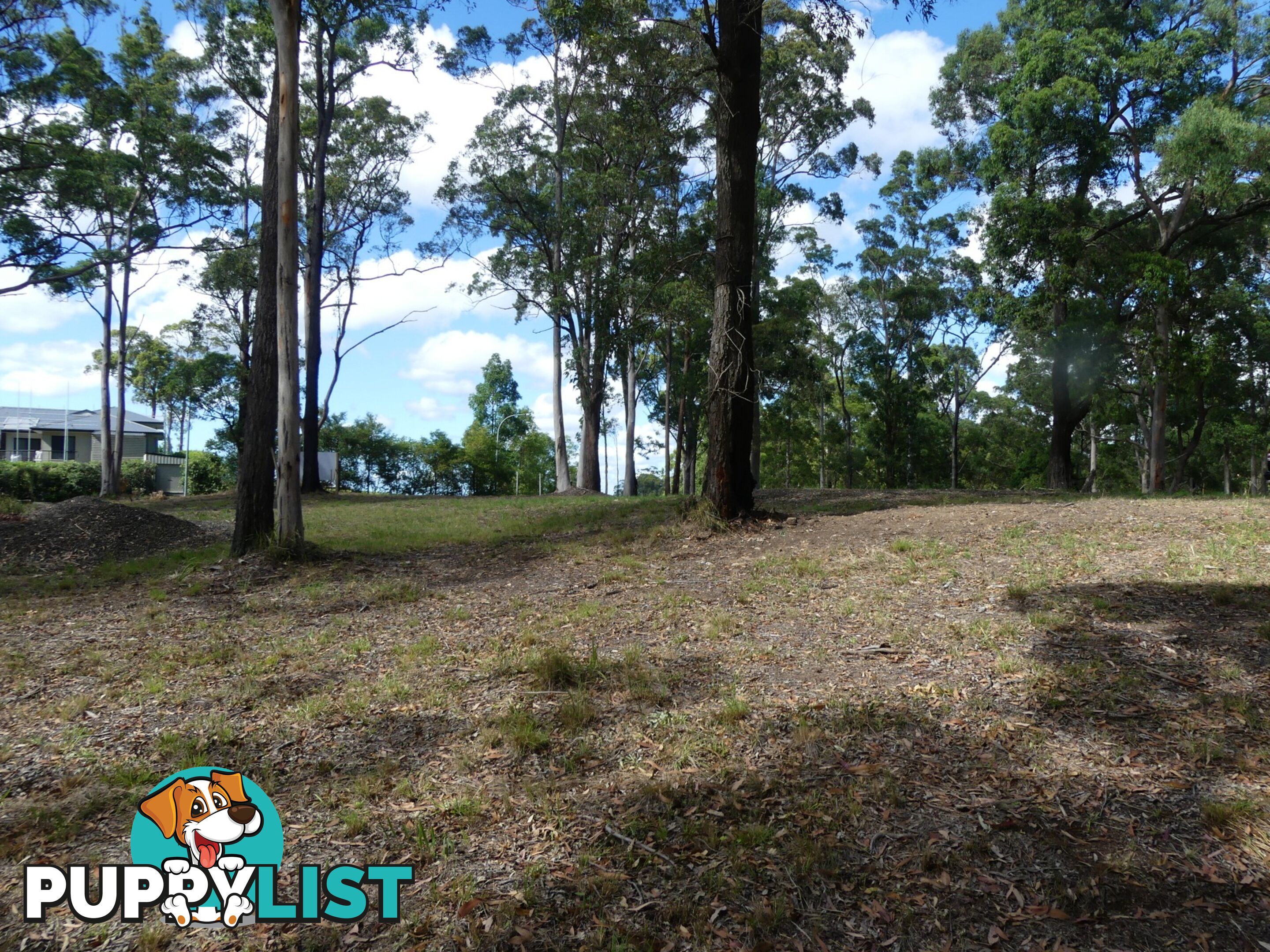 Lot 7/131 Tallwoods Drive TALLWOODS VILLAGE NSW 2430