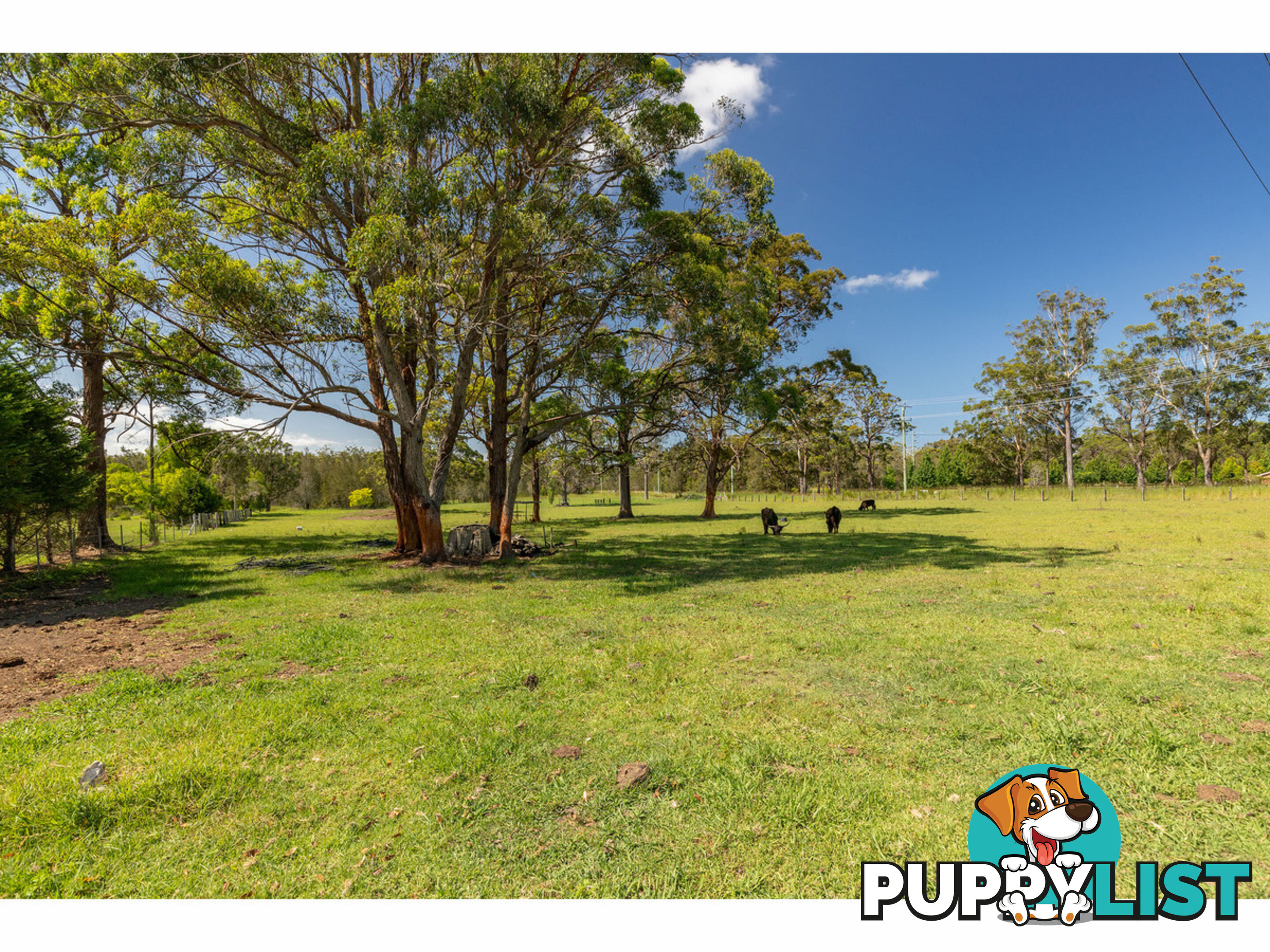 8 Failford Road DARAWANK NSW 2428