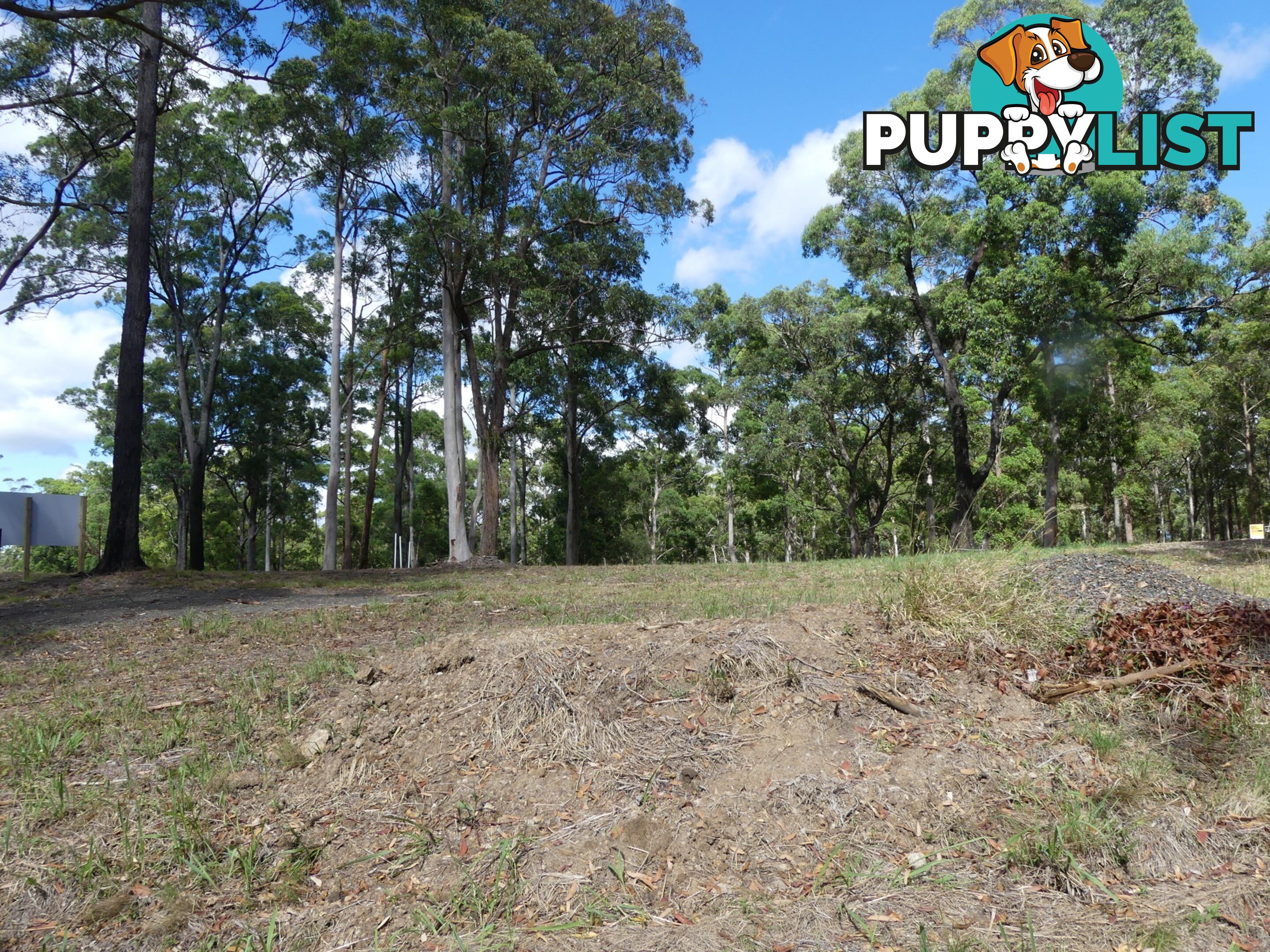 Lot 9/131 Tallwoods Drive TALLWOODS VILLAGE NSW 2430