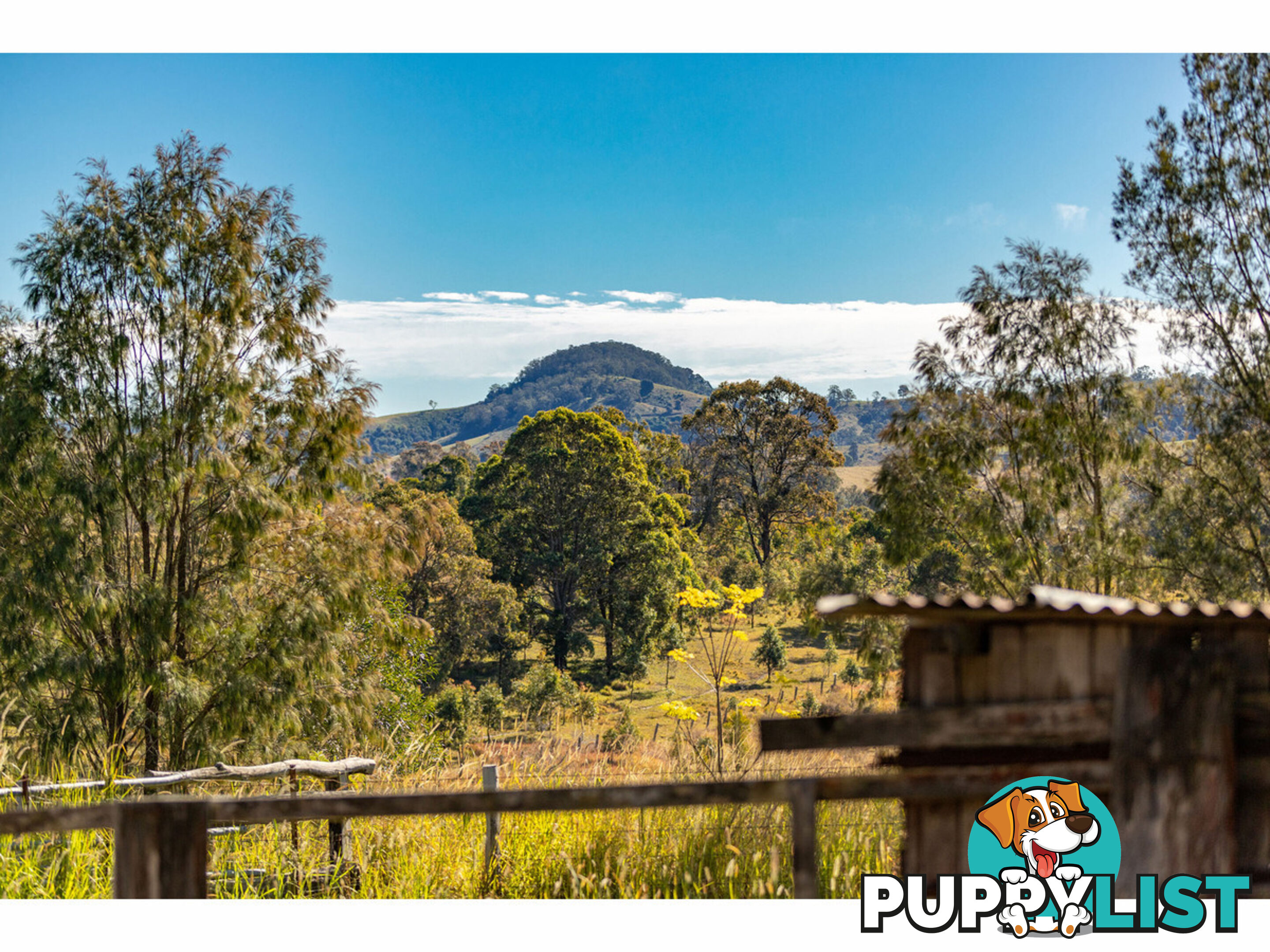 1595 Willina Road BUNYAH NSW 2429