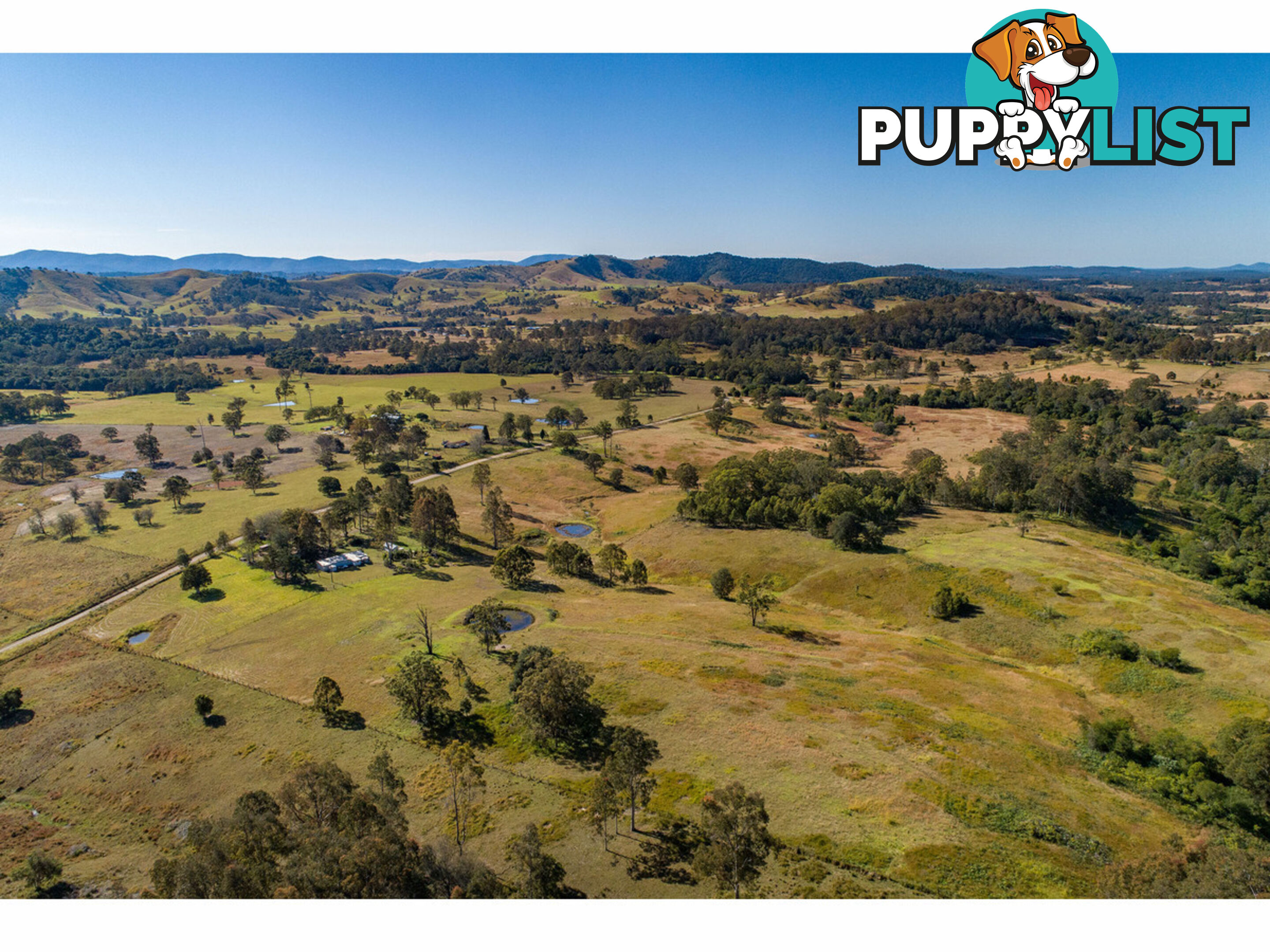 1595 Willina Road BUNYAH NSW 2429