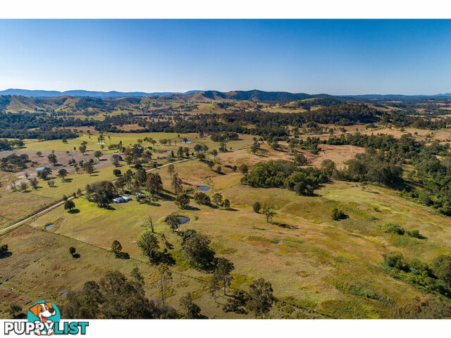 1595 Willina Road BUNYAH NSW 2429