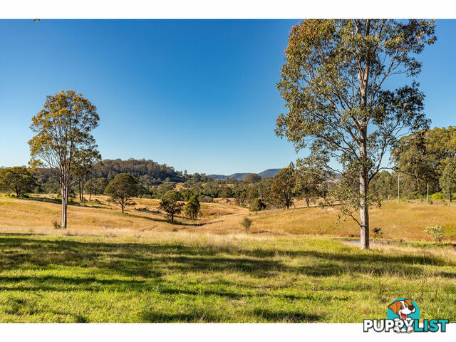 1595 Willina Road BUNYAH NSW 2429