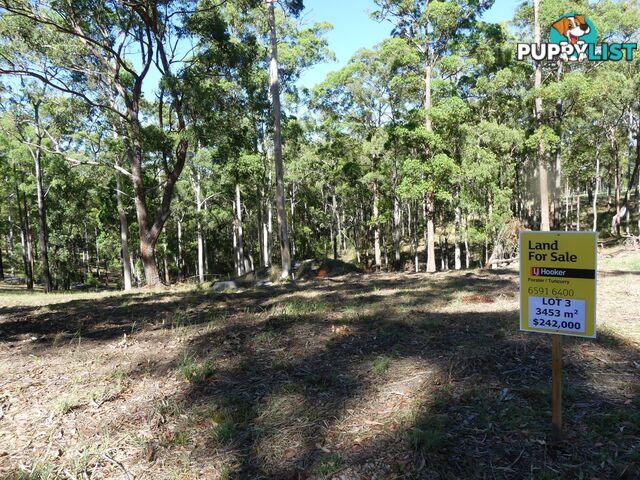 Lot 3/131 Tallwoods Drive TALLWOODS VILLAGE NSW 2430