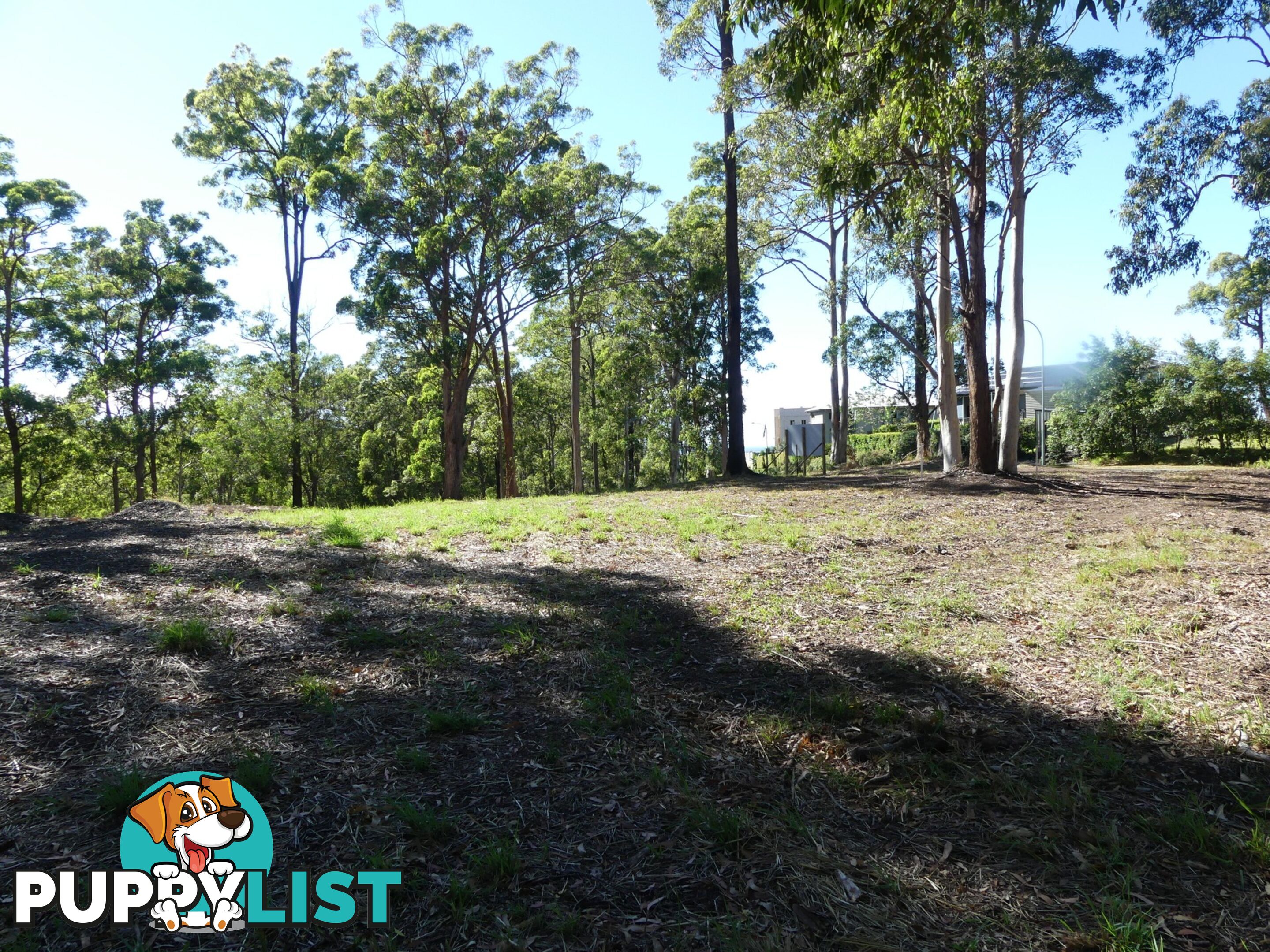 Lot 3/131 Tallwoods Drive TALLWOODS VILLAGE NSW 2430