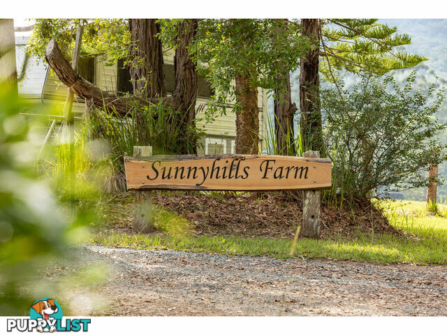 167 Herivels Road WOOTTON NSW 2423