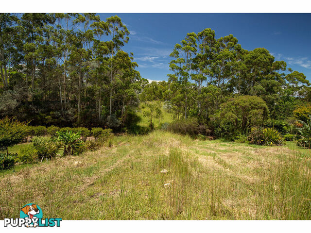 16B The Saddle TALLWOODS VILLAGE NSW 2430