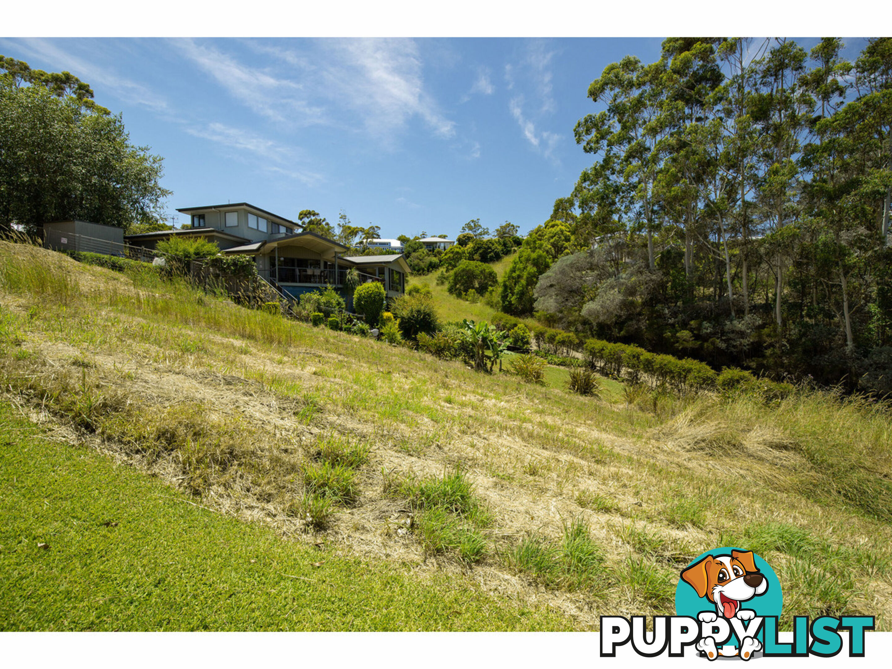 16B The Saddle TALLWOODS VILLAGE NSW 2430