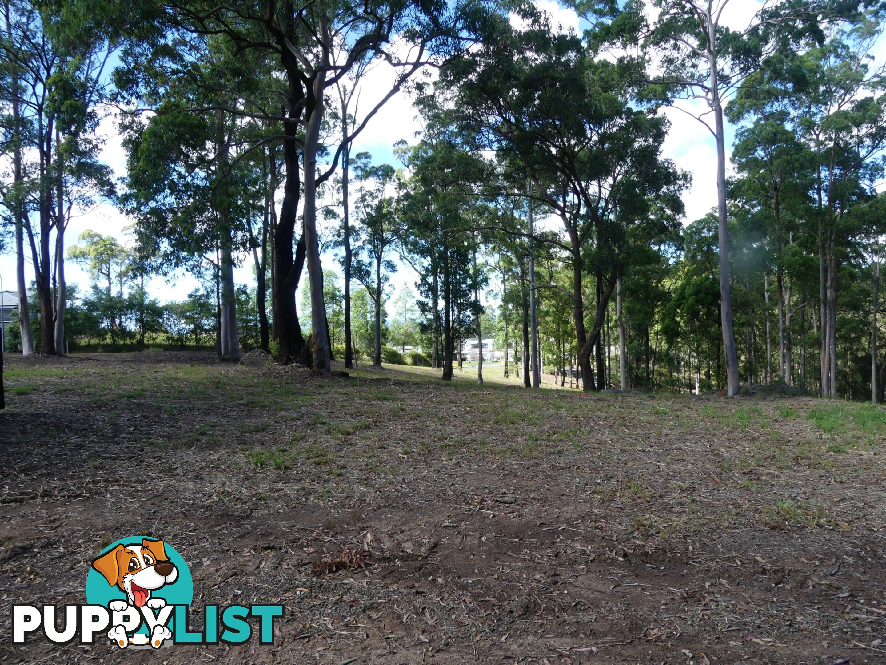 Lot 4/131 Tallwoods Drive TALLWOODS VILLAGE NSW 2430