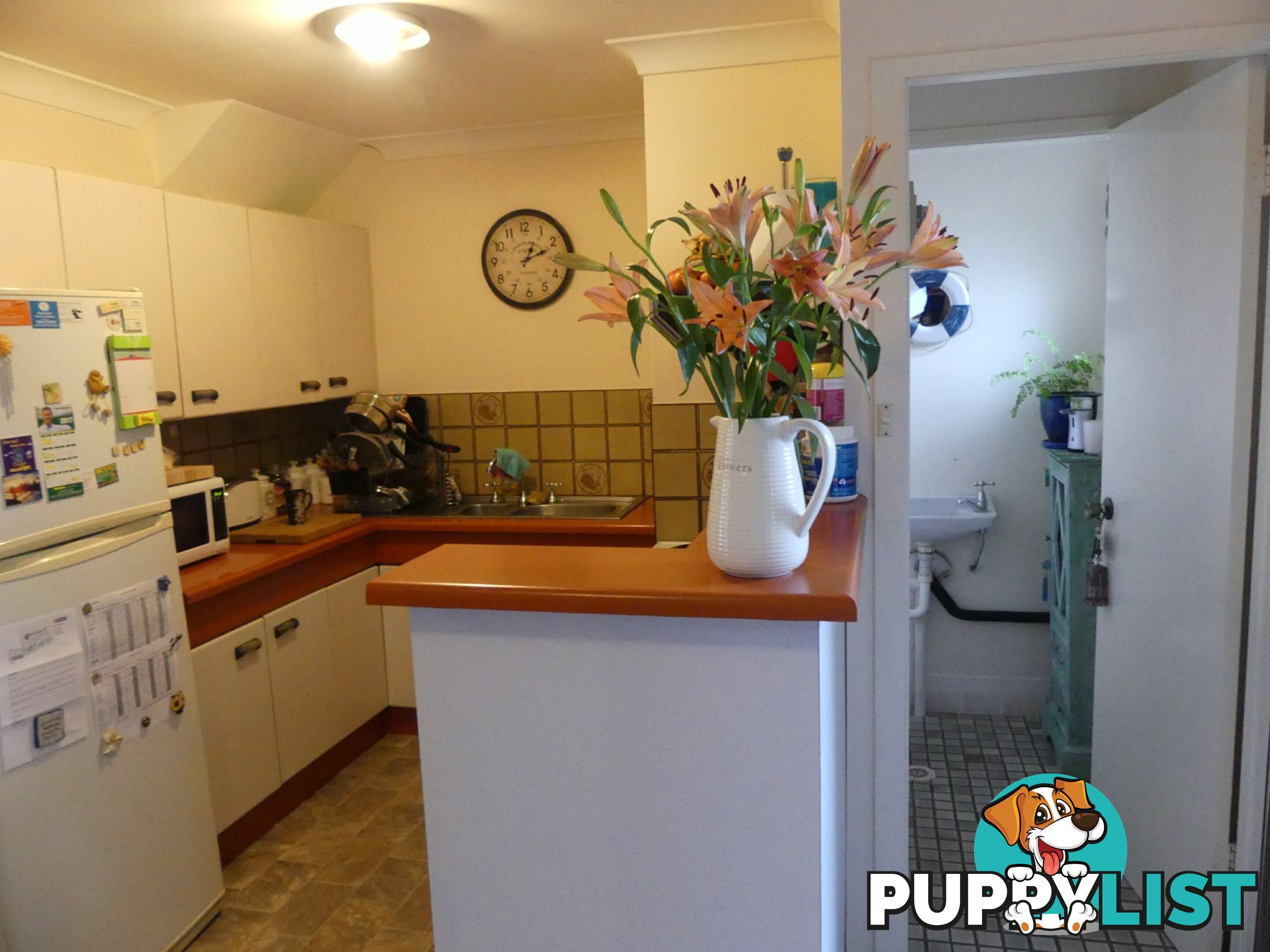 Unit 9/63 Macintosh Street FORSTER NSW 2428