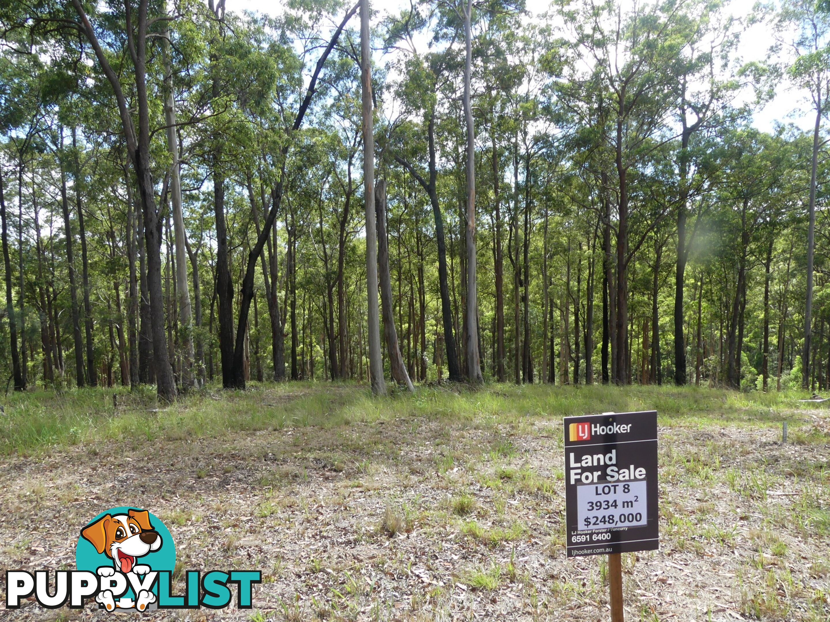 Lot 8/131 Tallwoods Drive TALLWOODS VILLAGE NSW 2430