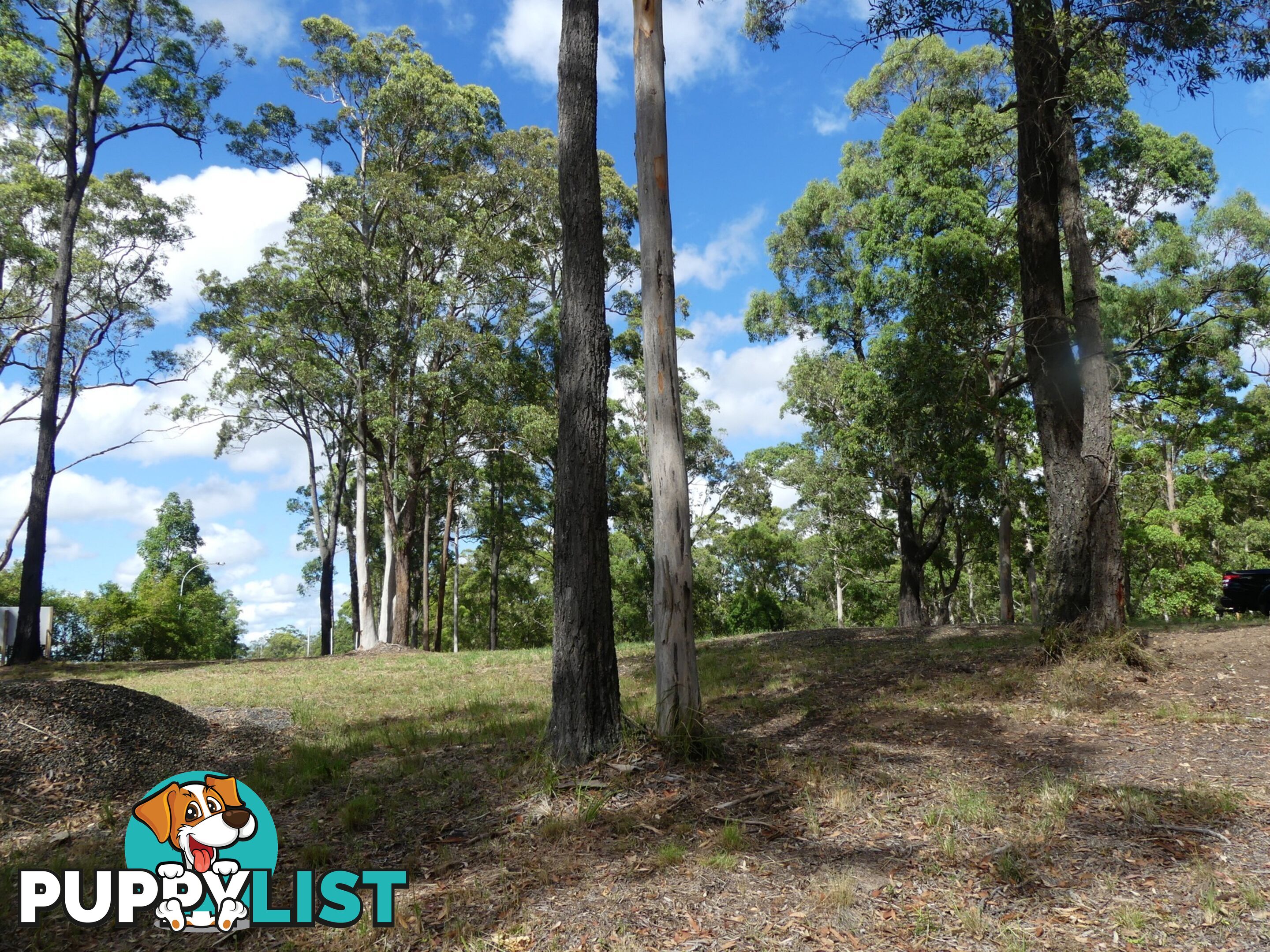 Lot 8/131 Tallwoods Drive TALLWOODS VILLAGE NSW 2430