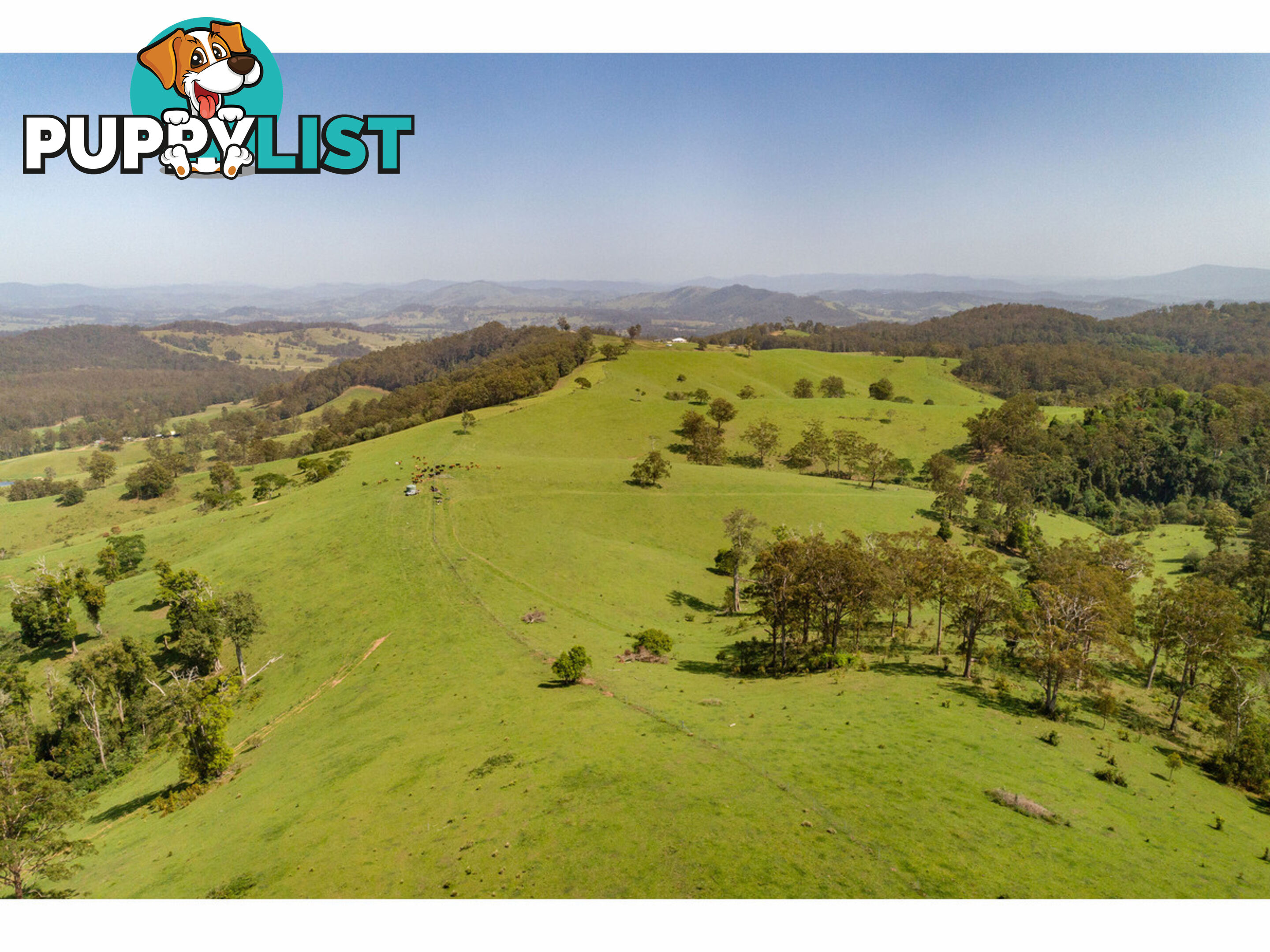 185 Sawyers Creek Road WILLINA NSW 2423