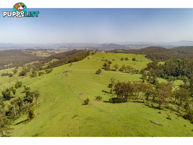 185 Sawyers Creek Road WILLINA NSW 2423