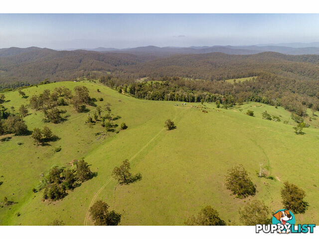 185 Sawyers Creek Road WILLINA NSW 2423