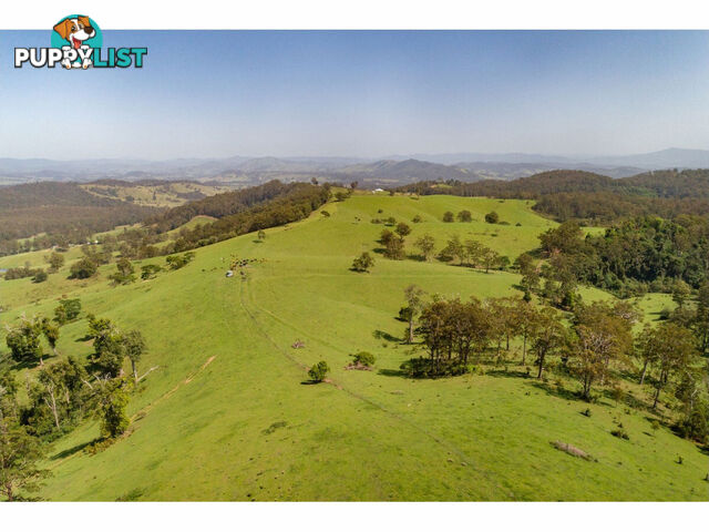 185 Sawyers Creek Road WILLINA NSW 2423