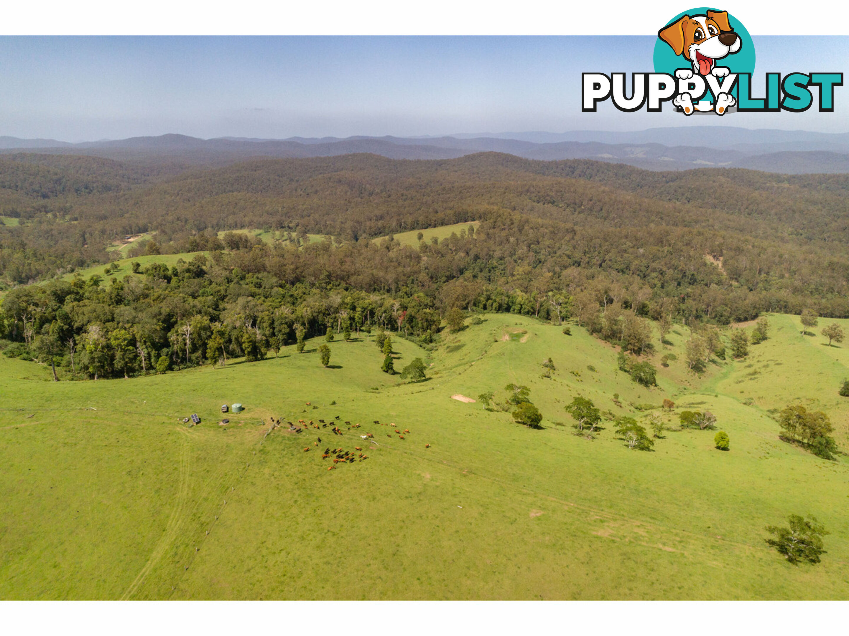 185 Sawyers Creek Road WILLINA NSW 2423