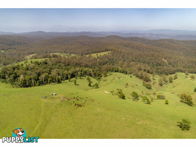 185 Sawyers Creek Road WILLINA NSW 2423