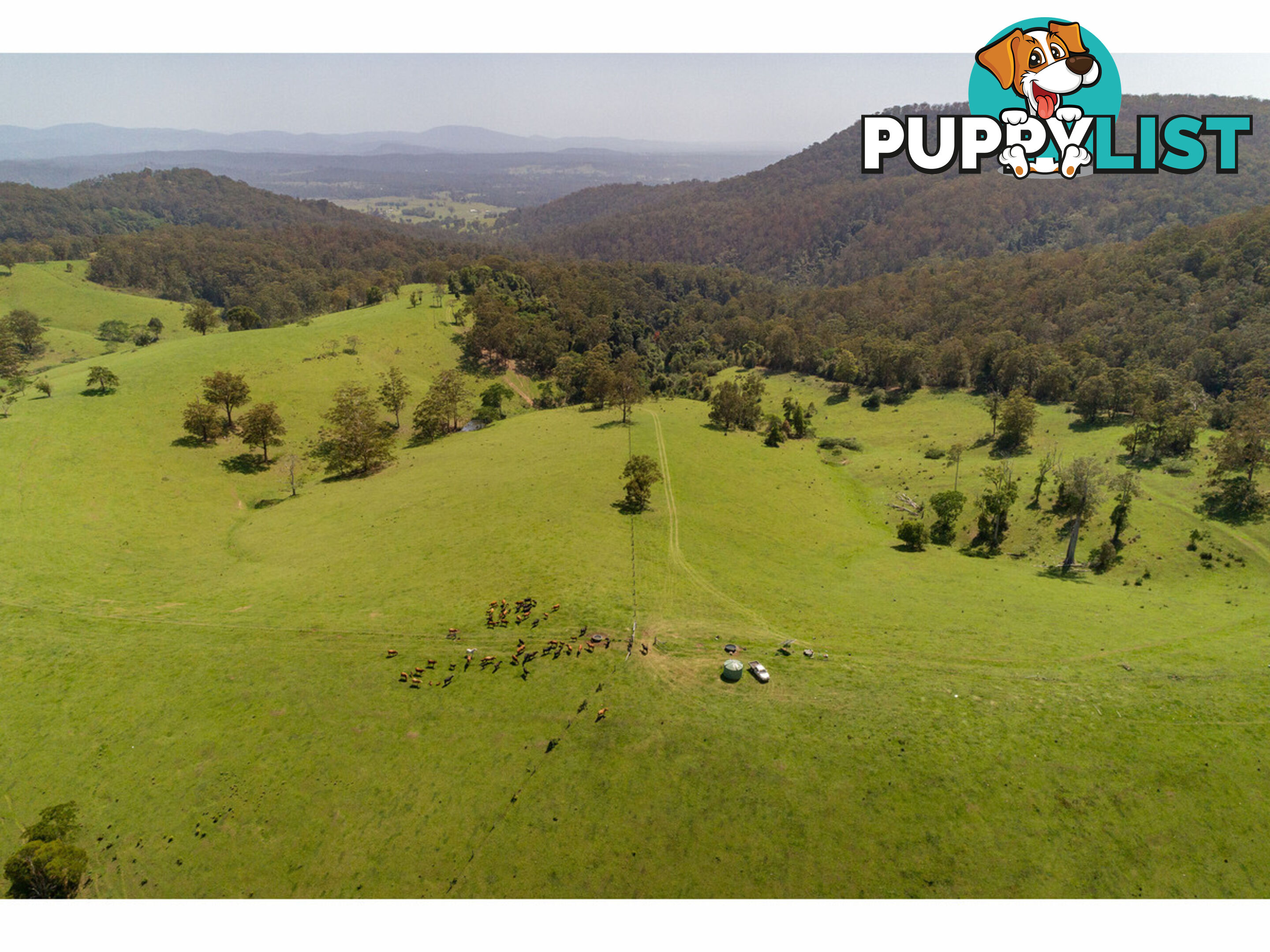 185 Sawyers Creek Road WILLINA NSW 2423