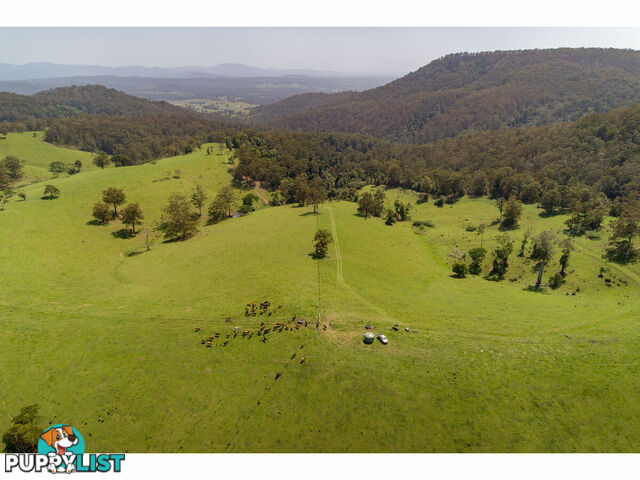 185 Sawyers Creek Road WILLINA NSW 2423