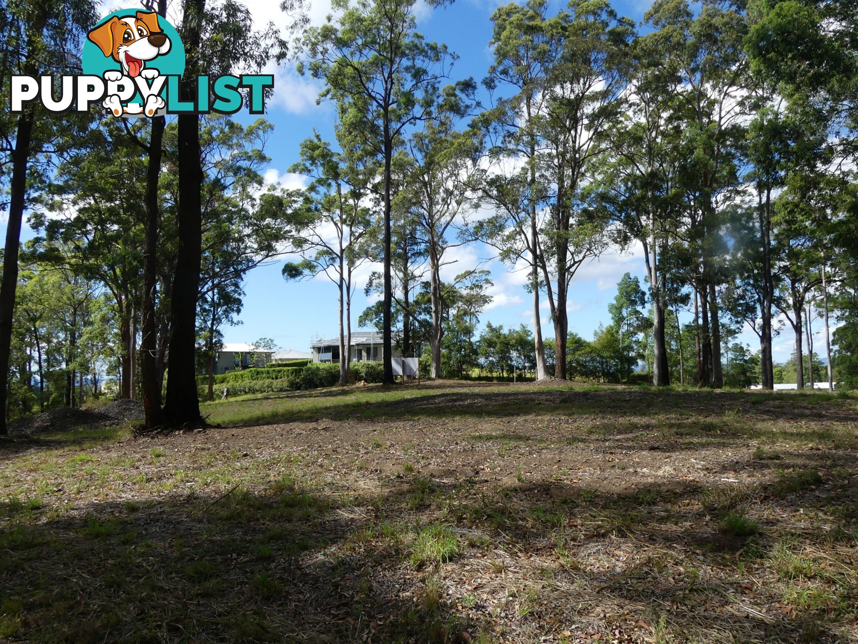 Lot 6/131 Tallwoods Drive TALLWOODS VILLAGE NSW 2430