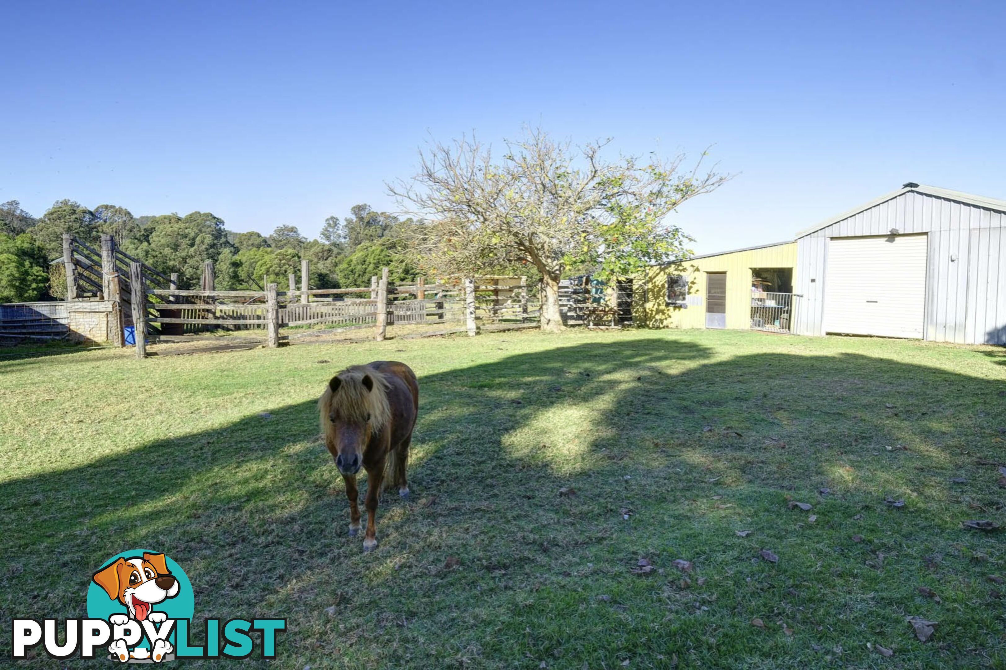 124 Wrights Lane DYERS CROSSING NSW 2429