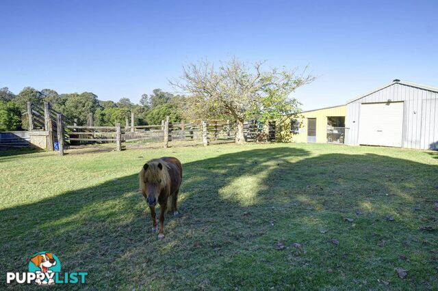 124 Wrights Lane DYERS CROSSING NSW 2429