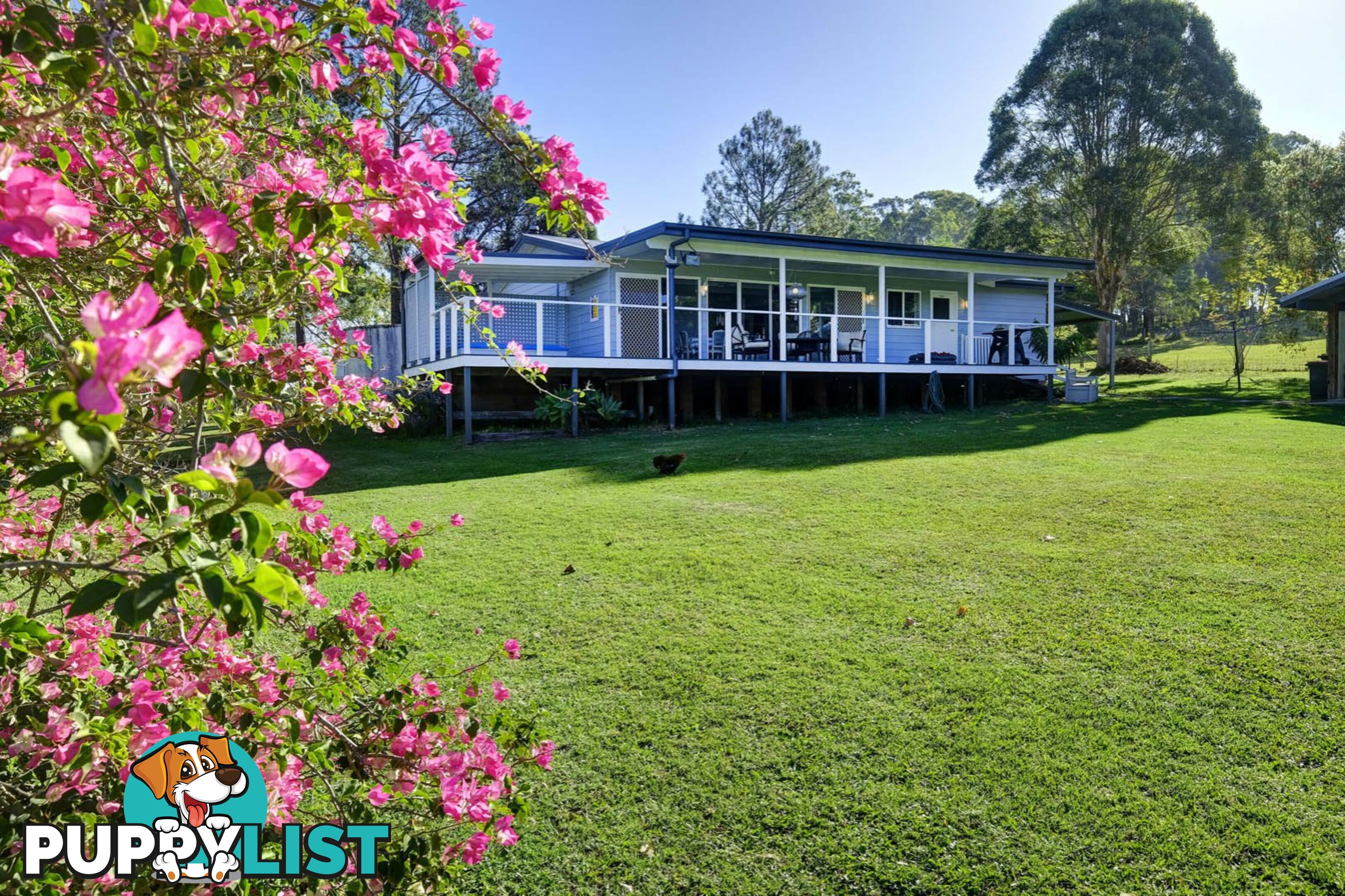 124 Wrights Lane DYERS CROSSING NSW 2429