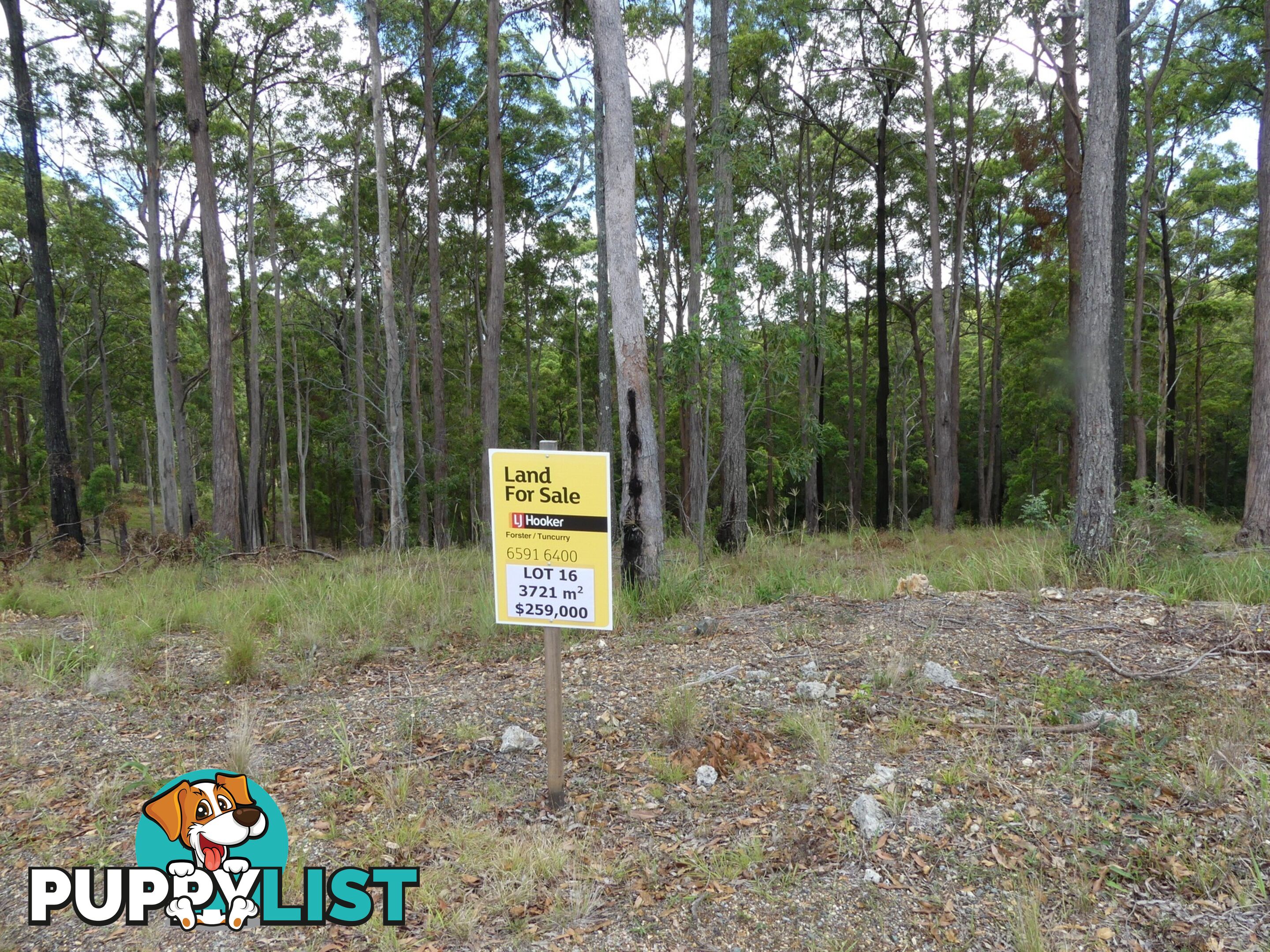 Lot 16/131 Tallwood Drive TALLWOODS VILLAGE NSW 2430