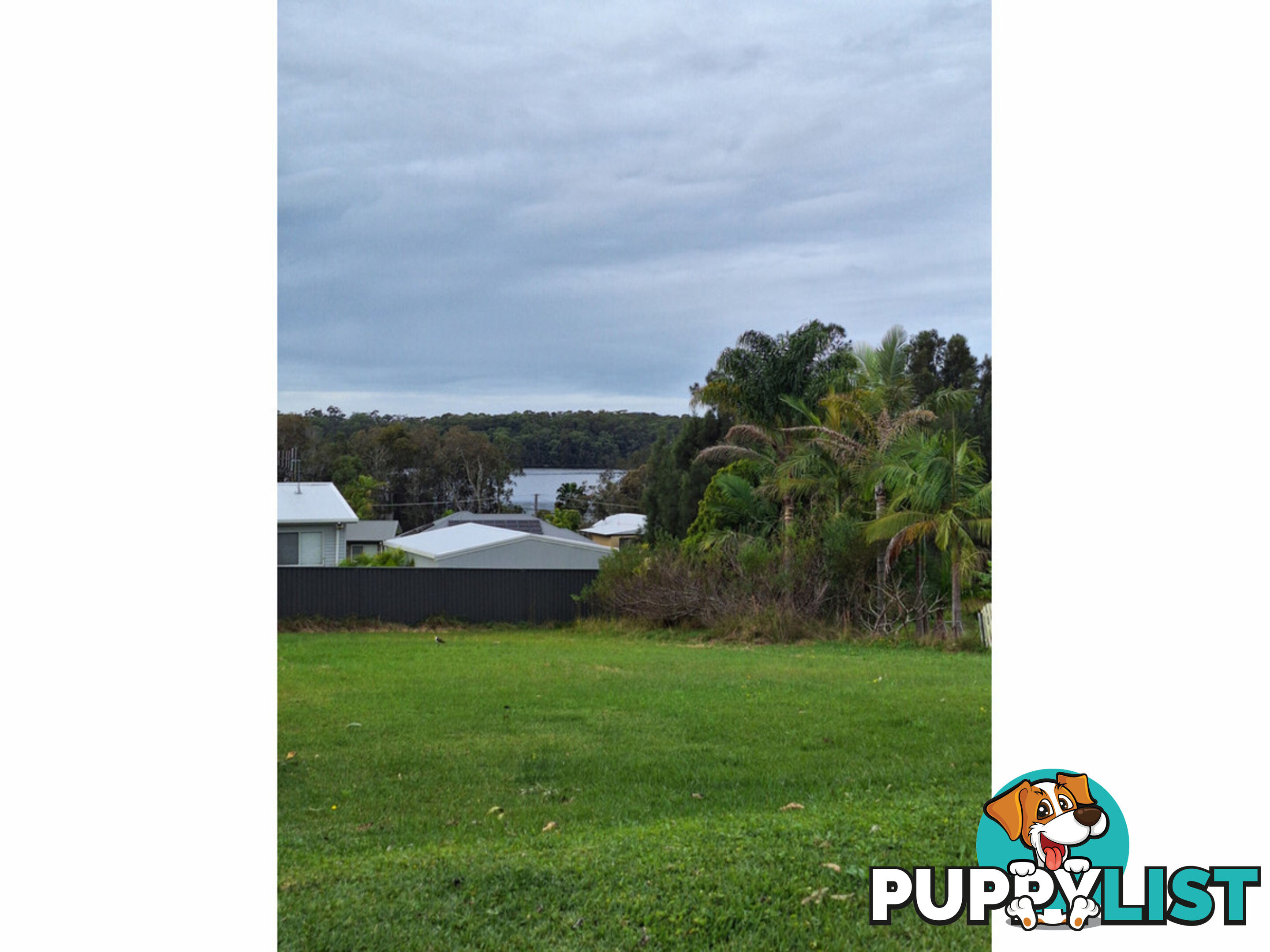 6 Warralong Street COOMBA PARK NSW 2428