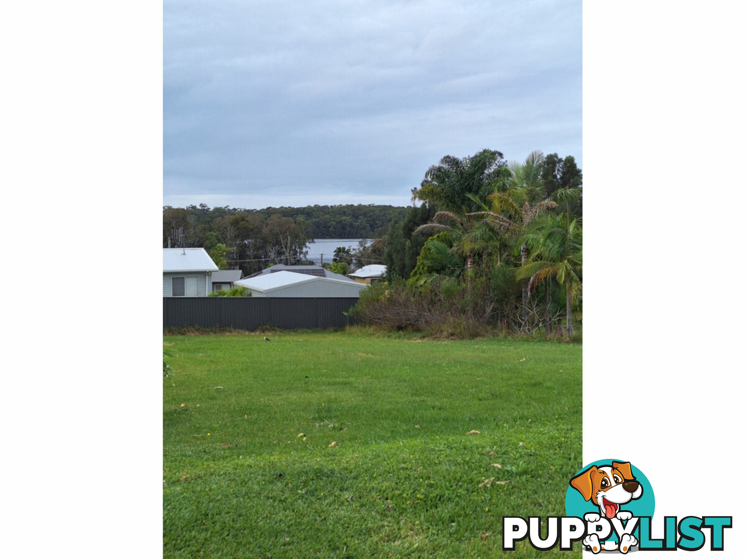 6 Warralong Street COOMBA PARK NSW 2428