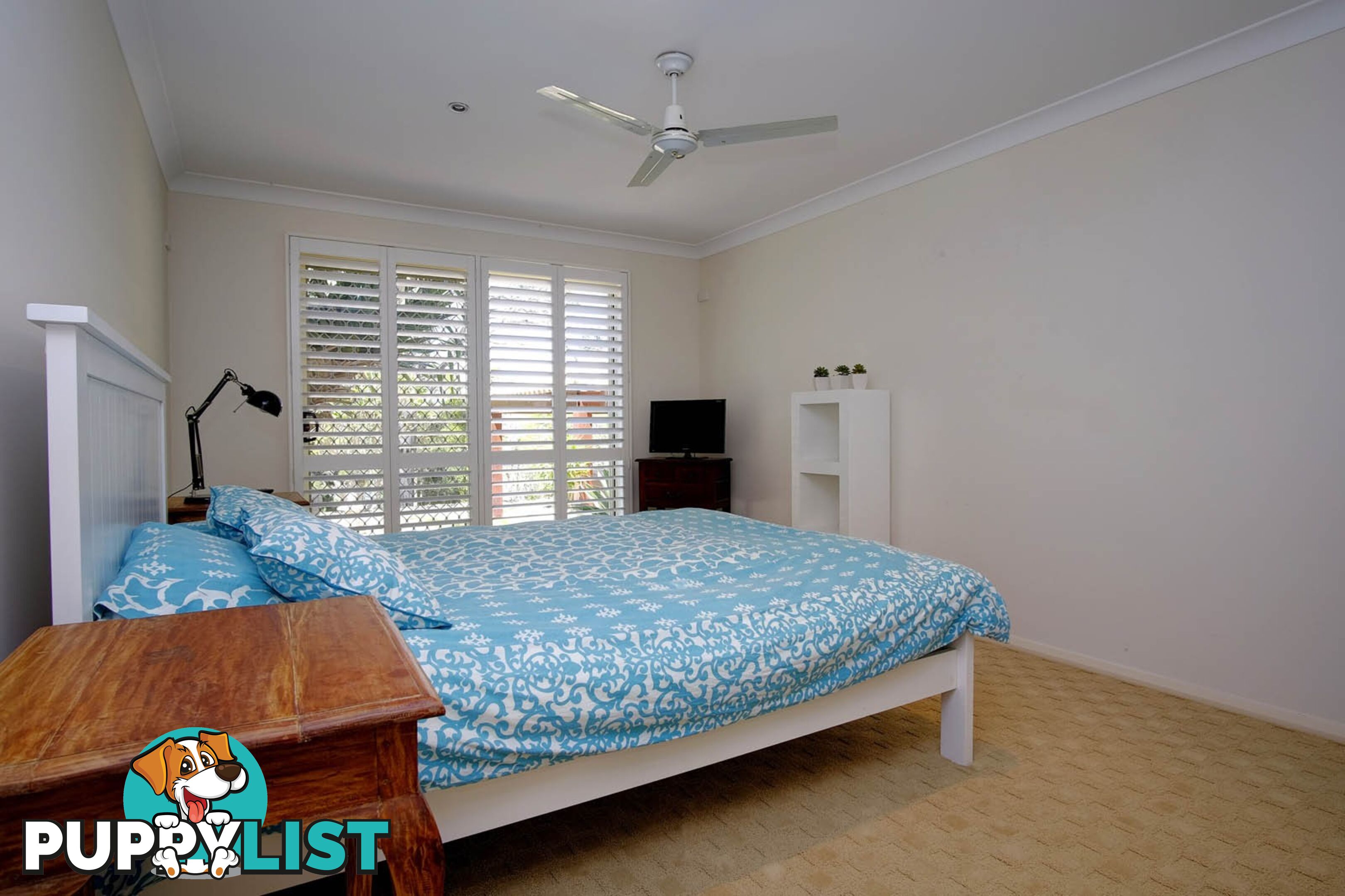 99 Green Point Drive GREEN POINT NSW 2428