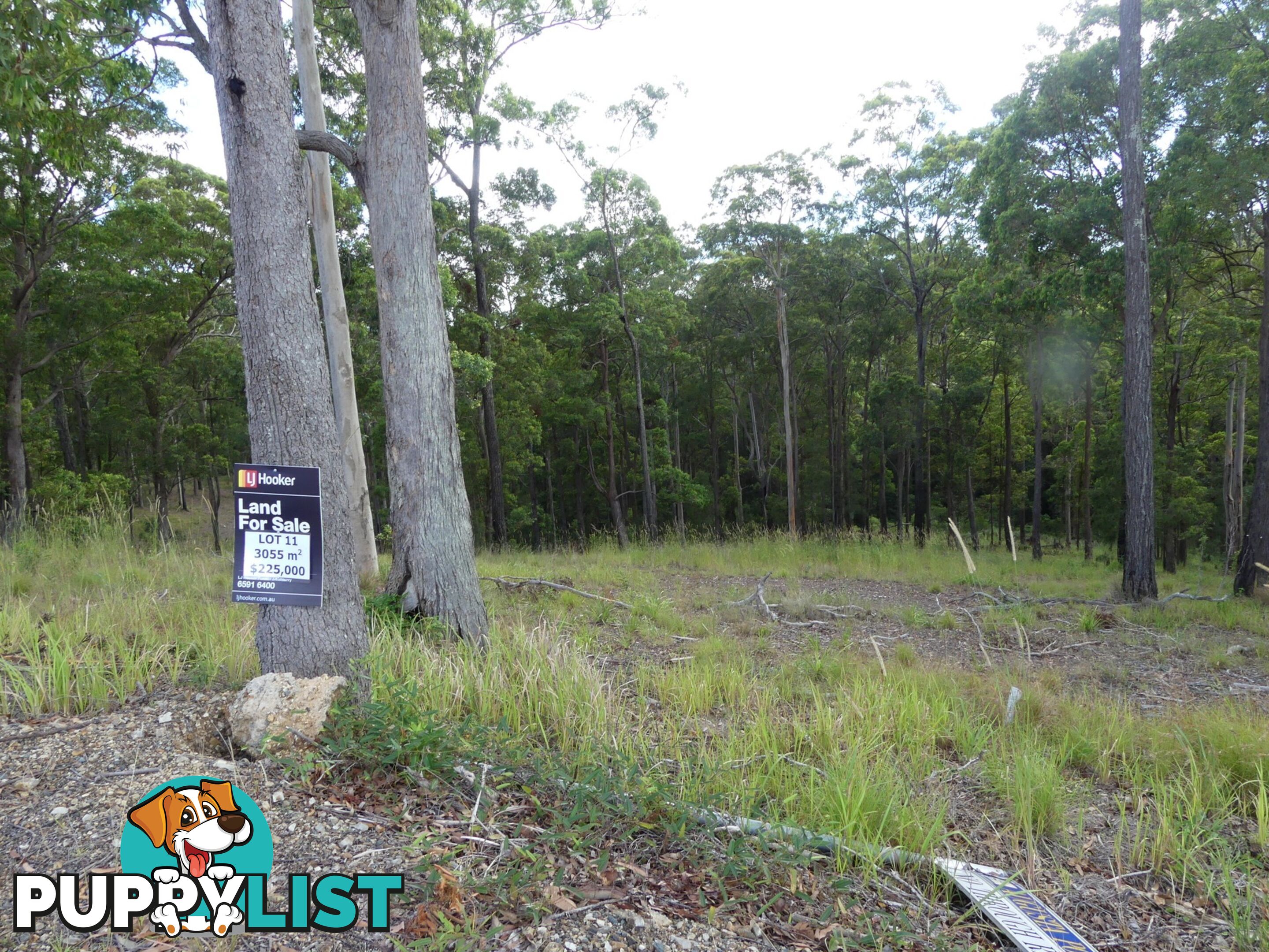 Lot 11/131 Tallwoods Drive TALLWOODS VILLAGE NSW 2430