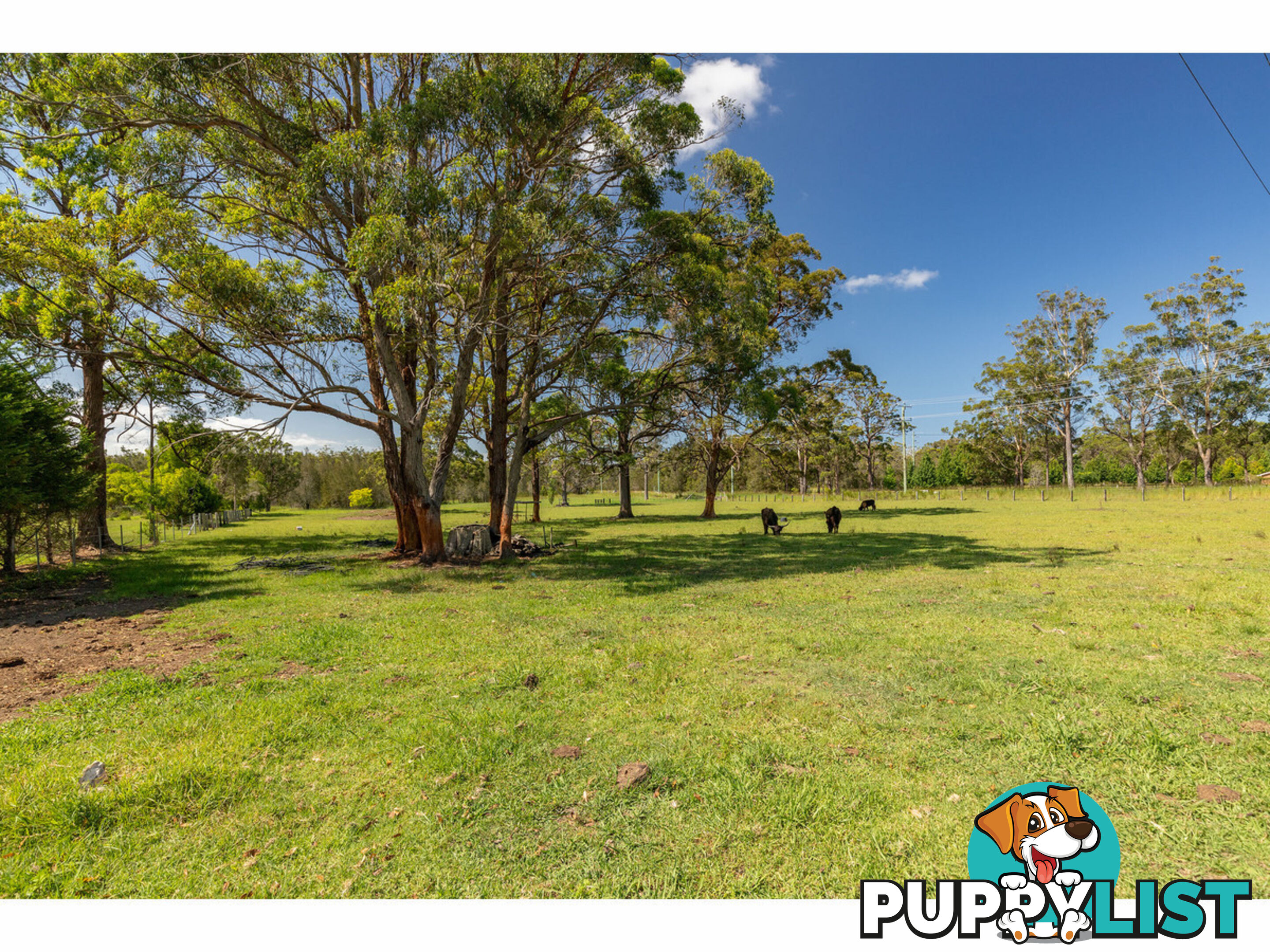 8 Failford Road DARAWANK NSW 2428